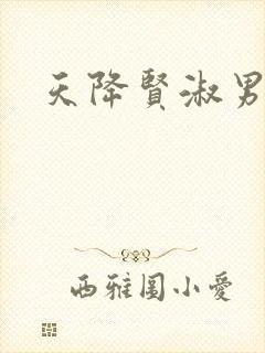 天降贤淑男小说