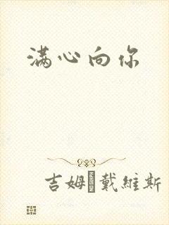 满心向你封面