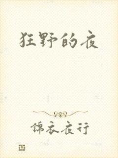 狂野的夜封面