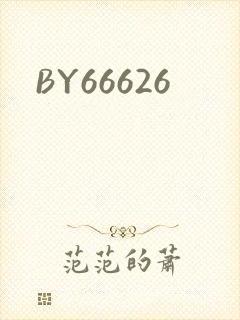 BY66626封面