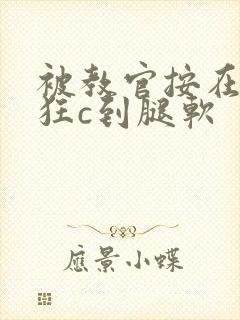 被教官按在寝室狂c到腿软封面