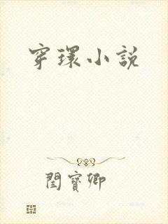 穿环小说