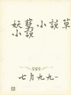 妖孽小说草莓酱小说封面