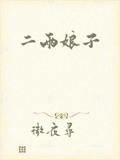 二两娘子封面
