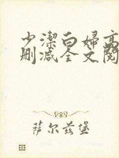 少洁白妇高义无删减全文阅读