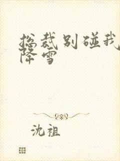 总裁别碰我 韩降雪