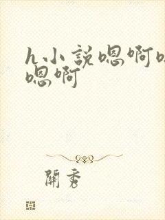 h小说嗯啊嗯啊嗯啊