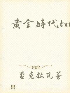 黄金时代txt封面