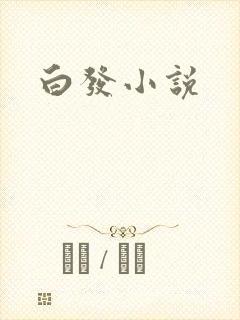 白发小说