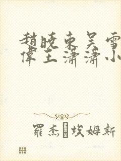 赵晓东吴雪晴郑伟王潇潇小说