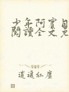 少年阿宾目录线阅读全文免费阅读