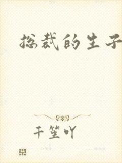 总裁的生子情人