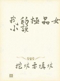 我的极品女老师小说