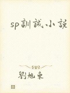 sp训诫小说