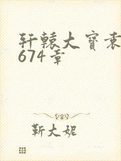 轩辕大宝袁雪妃674章