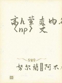 高h荤爽肉欲文〈np〉文