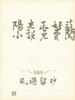 阳光正好苏玥玥小说免费阅读封面