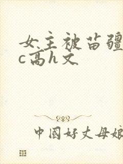 女主被苗疆男主c高h文