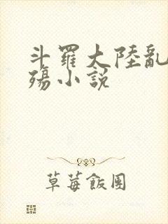 斗罗大陆乱世浮殇小说