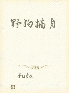 野狗摘月