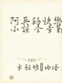 阿兵的快乐生活小说 全章节阅读免费