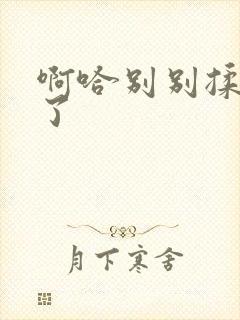 啊哈别别揉那处了