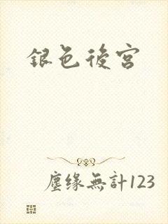 银色后宫