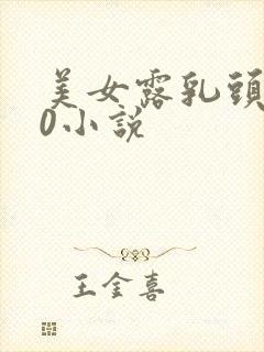 美女露乳头100小说封面