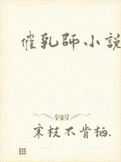 催乳师小说