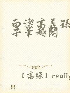 白洁高义孙倩东子笔趣阁封面