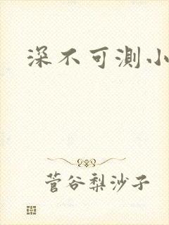 深不可测小说