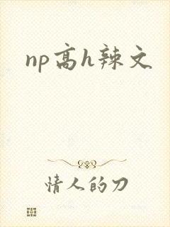 np高h辣文封面