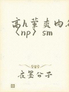 高h荤爽肉欲文〈np〉sm