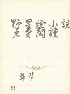 野星灯小说全文免费阅读