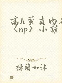 高h荤爽肉欲文〈np〉小说