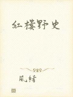 红楼野史封面