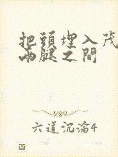 把头埋入茂密的两腿之间封面