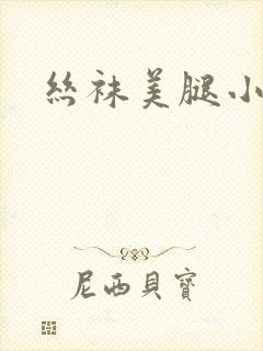 丝袜美腿小说封面