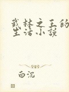 武林之王的退隐生活小说