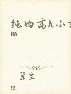 纯肉高h小说sm封面