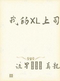 我的XL上司