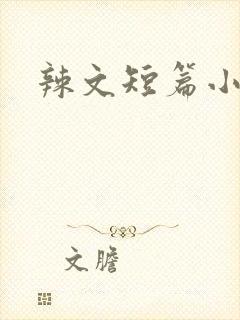 辣文短篇小说封面