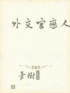 外交官恋人小说