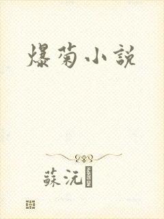 爆菊小说