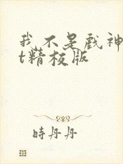 我不是戏神txt精校版