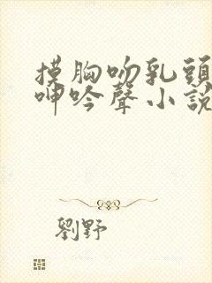 摸胸吻乳头情事呻吟声小说封面