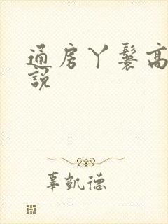 通房丫鬟高h小说