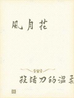 风月花封面