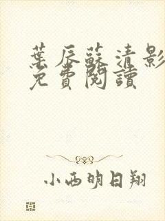 叶辰苏清影全文免费阅读封面