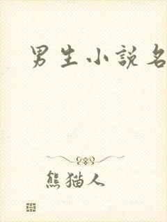 男生小说名字